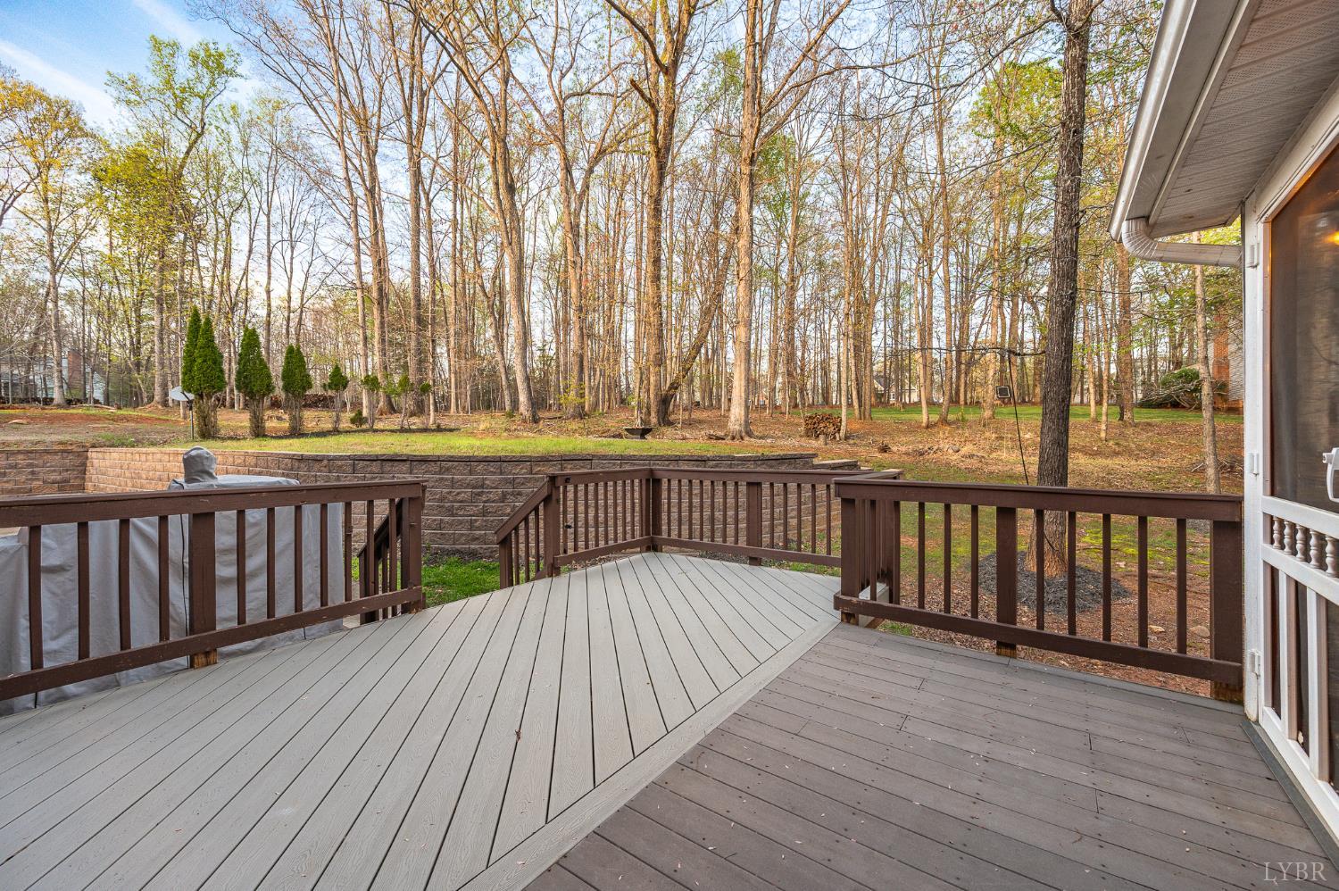 1089 Howards Scenic Trail Forest, VA 24551 - Photo 72 of 96