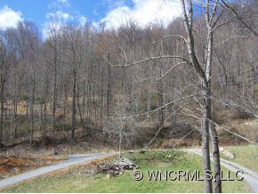 134 Price Town Road Clyde, NC 28721 - Photo 14 of 18
