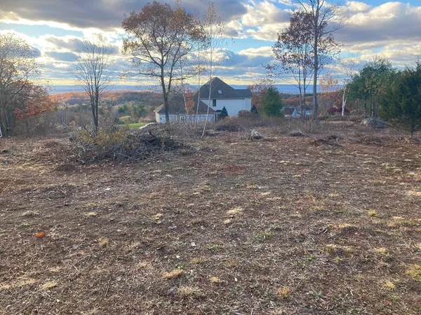 a view of a dry yard