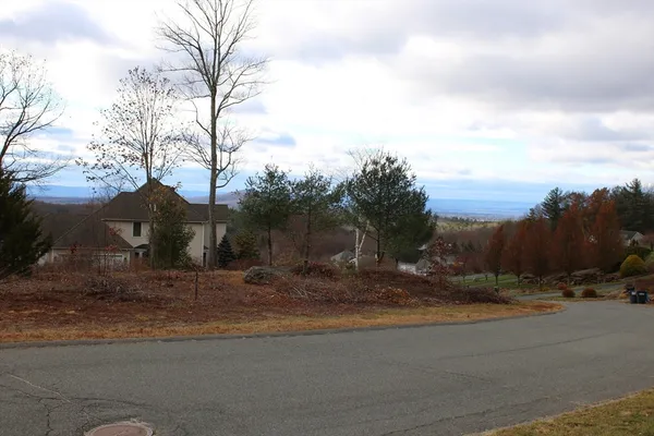 a view of a yard with a tree