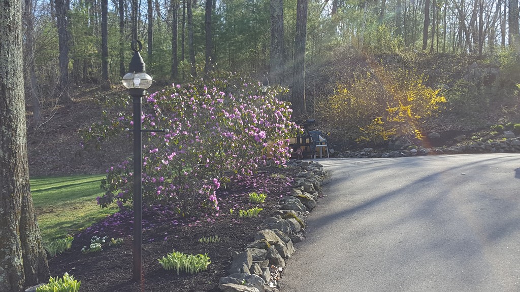 15 Stage Coach Road Boxford, MA 01921 - Photo 3 of 29 a view of a yard