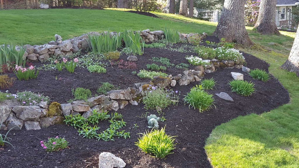 15 Stage Coach Road Boxford, MA 01921 - Photo 4 of 29 a garden with lots of plants and trees