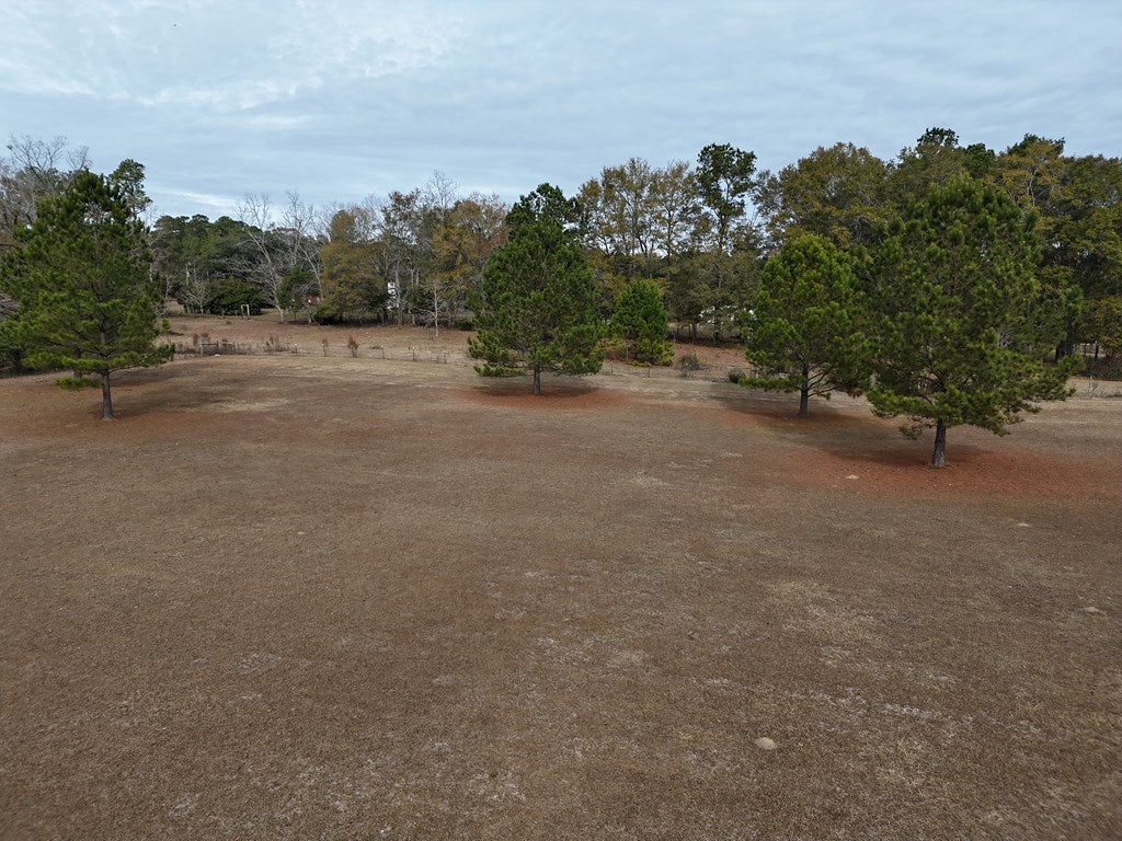2-acr Lewis Road Cairo, GA 39828 - Photo 8 of 24 Gallery Image 8
