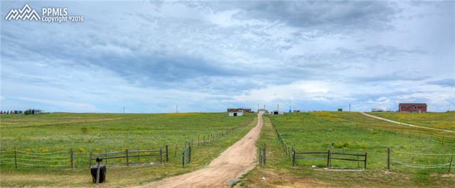 15010 Trigger Road Peyton, CO 80831 - Photo 24 of 25 Gallery Image 24