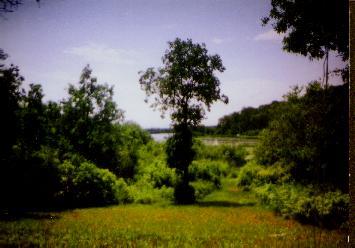 N12165 Middle Road Minong, WI 54859 - Photo 1 of 1 Gallery Image 1