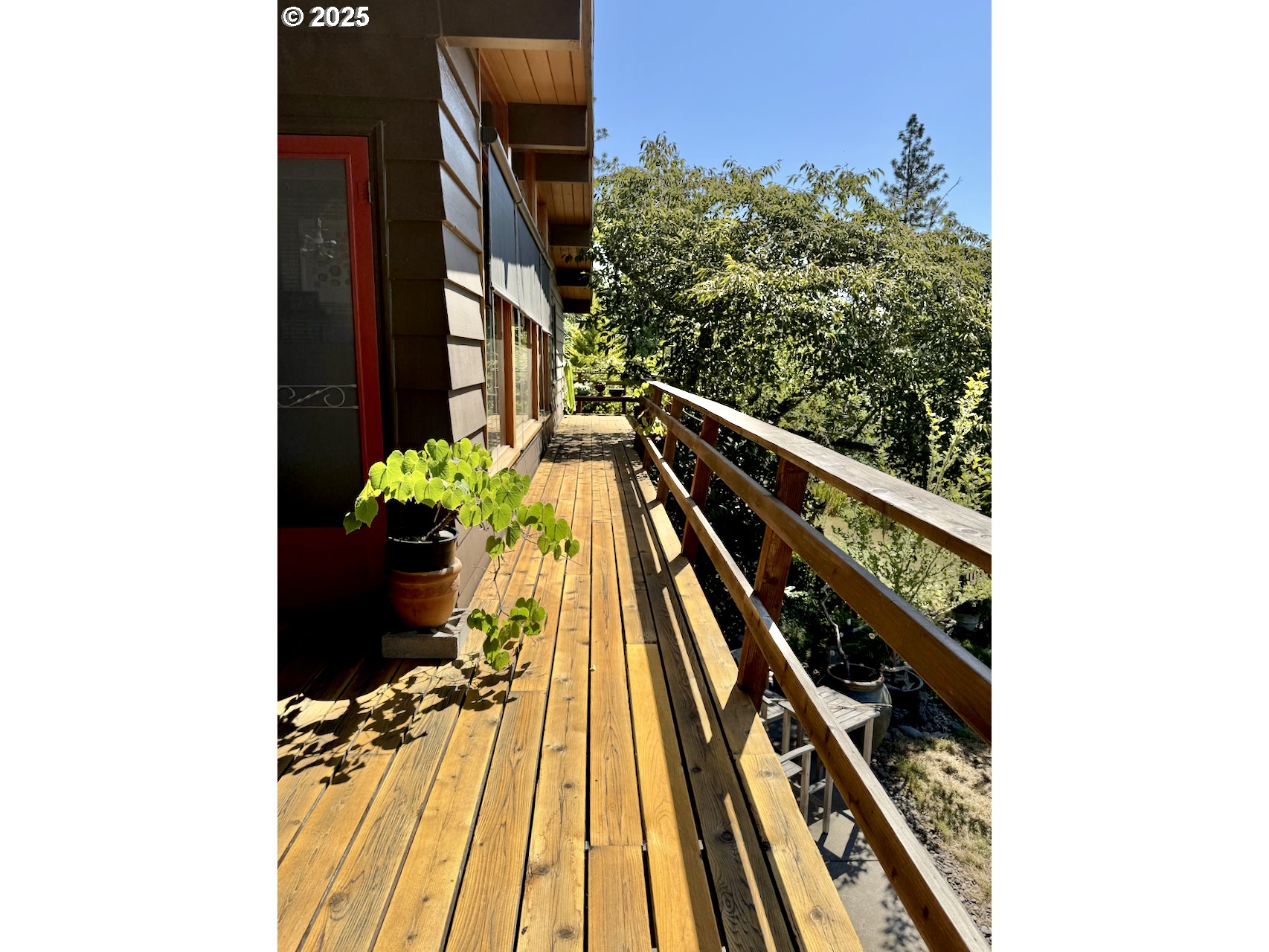 2203 Lorane Highway Eugene, OR 97405 - Photo 12 of 46 a picture of trees