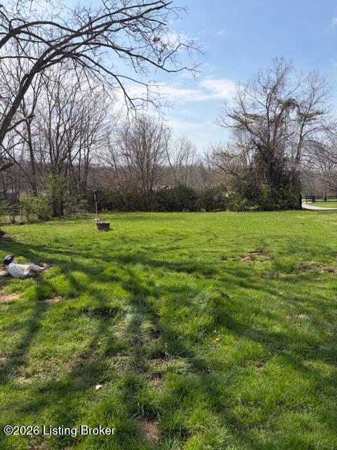 247 Spring Street New Castle, KY 40050 - Photo 26 of 32 Back Yard