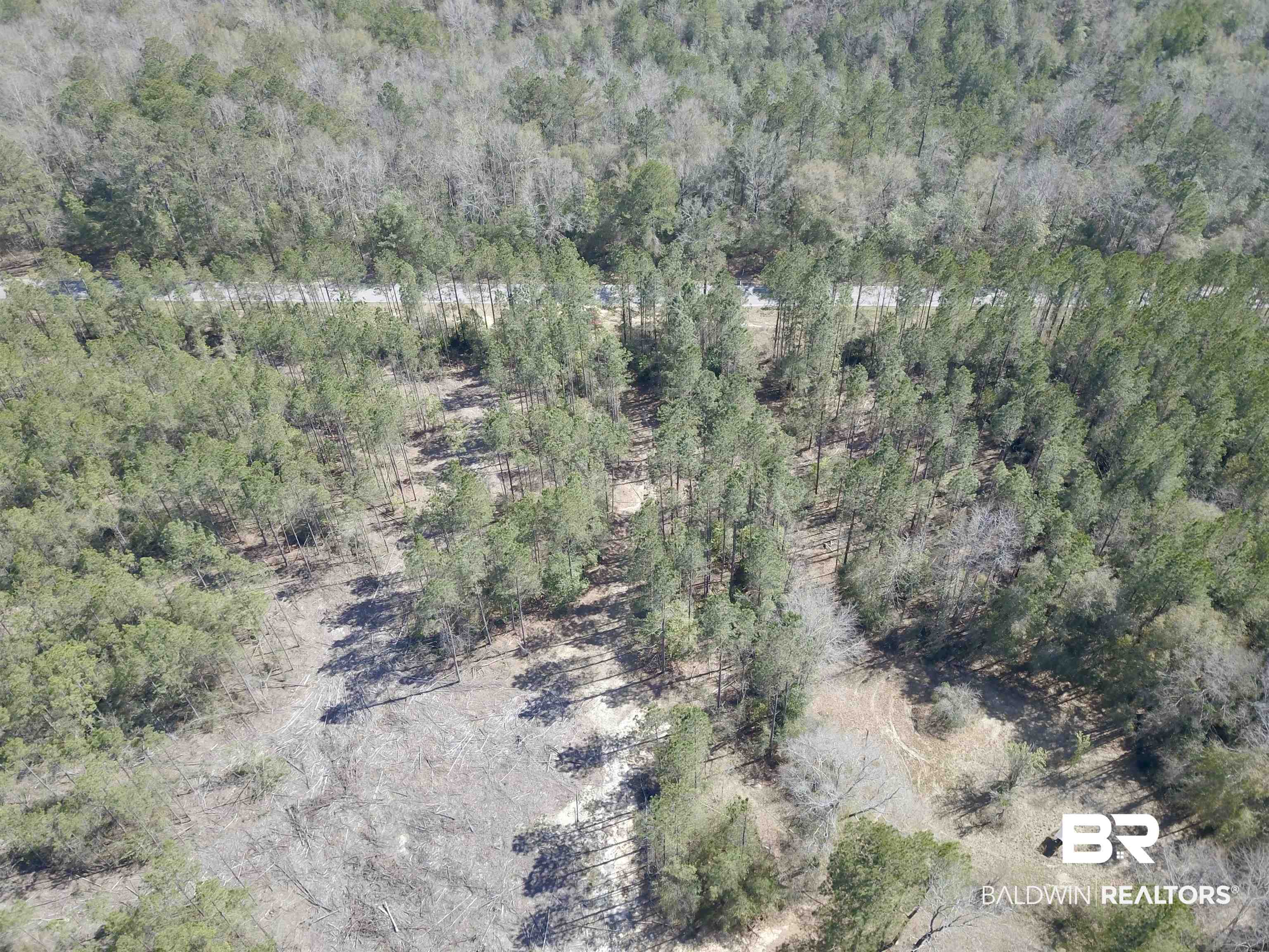 8557 County Road 34 Millry, AL 36558 - Photo 2 of 36 Bird's eye view featuring a forest view