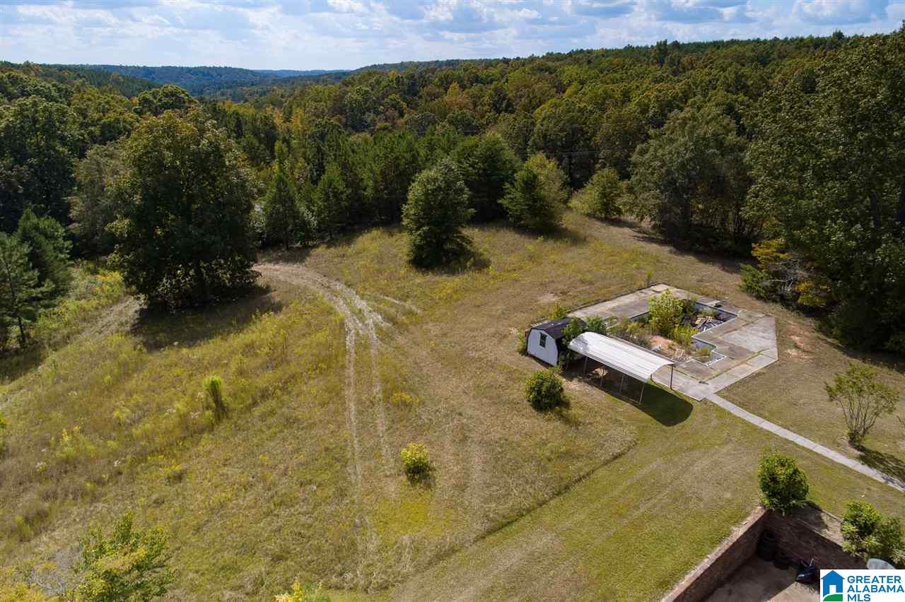6743 Castle Heights Road Morris, AL 35116 - Photo 33 of 37