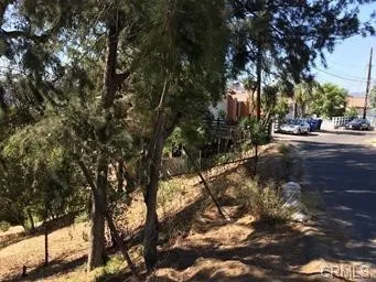 a view of a street with a tree