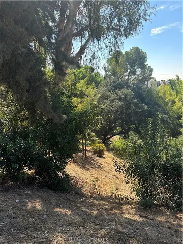 a view of a yard with a tree