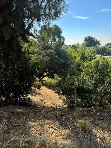 a view of a dry yard with lots of bushes
