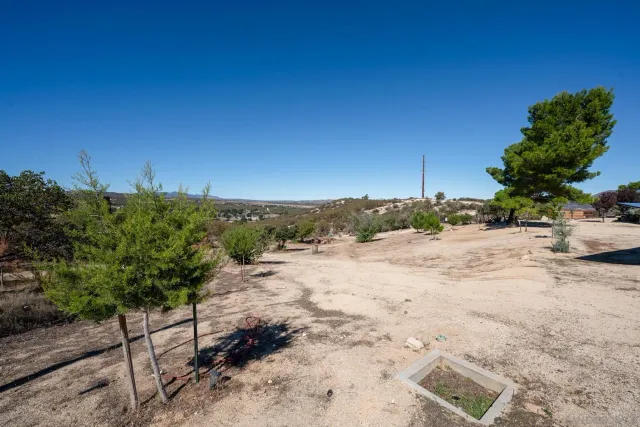 a view of a dry yard