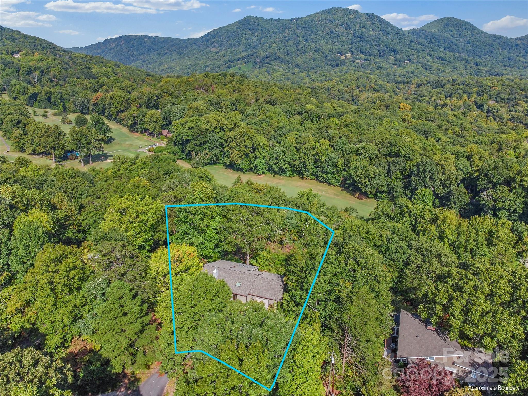302 Country Club Heights Road Tryon, NC 28782 - Photo 31 of 46