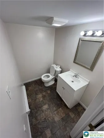 a bathroom with a sink toilet and mirror