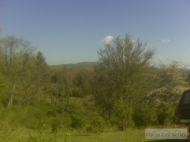 Macedonia Ch Road Sparta, NC 28675 - Photo 3 of 13 Gallery Image 3