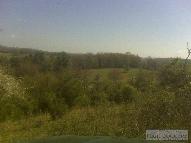 Macedonia Ch Road Sparta, NC 28675 - Photo 4 of 13 Gallery Image 4