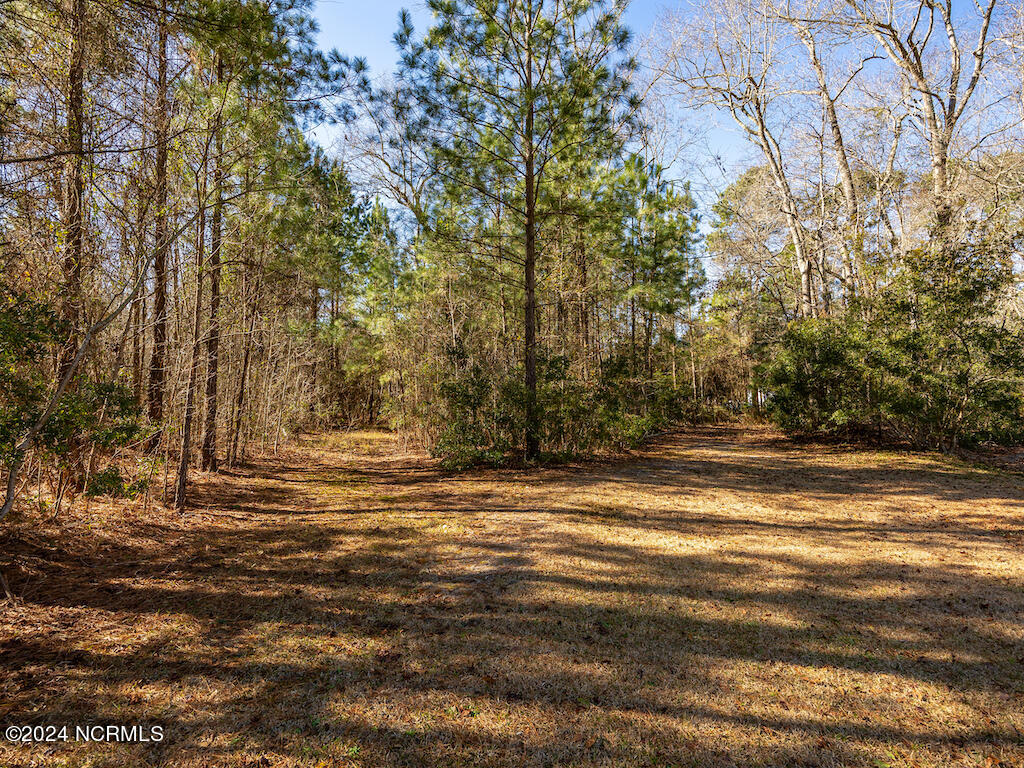 0 Hallsboro Road South Whiteville, NC 28472 - Photo 21 of 27 21