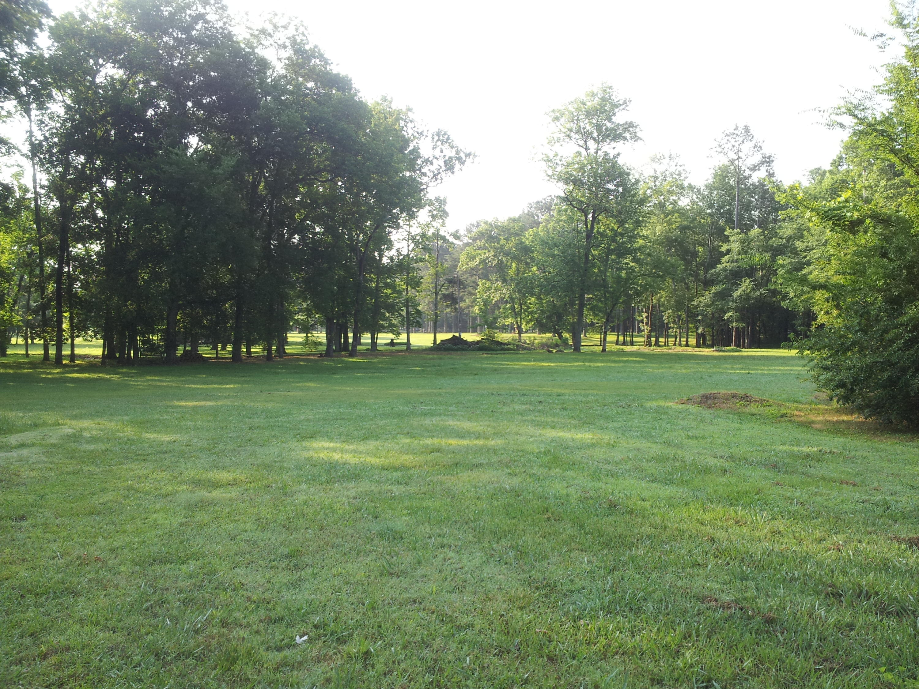 1614 Gray Road Chattanooga, TN 37421 - Photo 31 of 31 20150611_084201 (1)