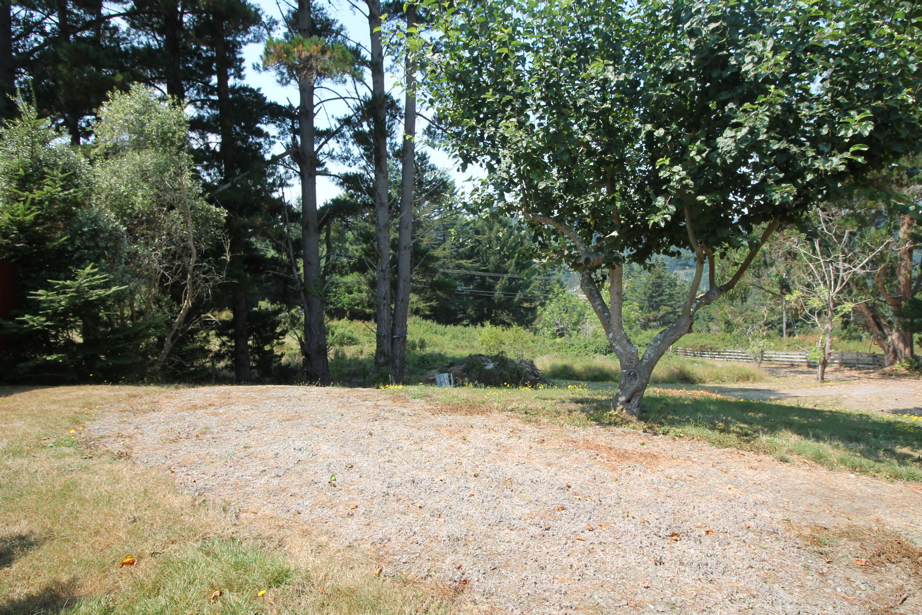 6551 Rohnerville Road Hydesville, CA 95547 - Photo 19 of 31 Yard
