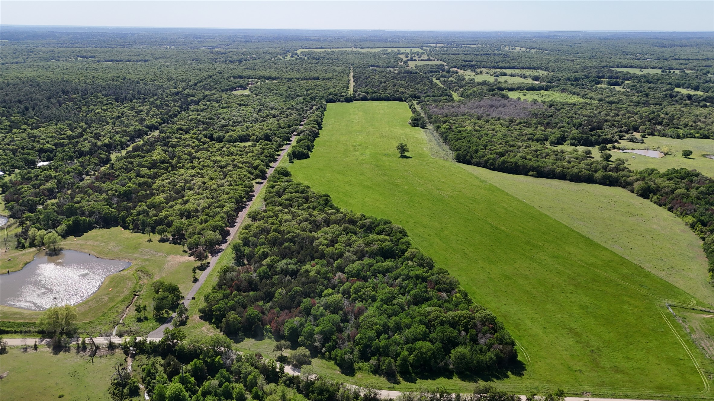Tbd Tbd Street Paige, TX 78659 - Photo 13 of 14 Drone / aerial view of a forest