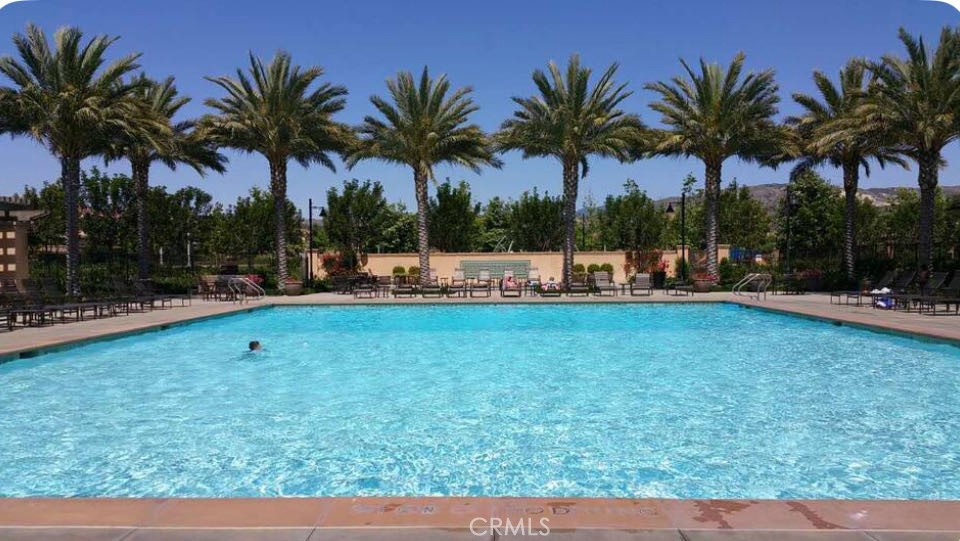 162 Overbrook Irvine, CA 92620 - Photo 18 of 27 a palm tree sitting in front of a yard with palm trees