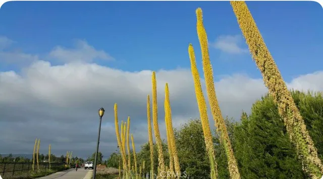 a view of a swimming pool