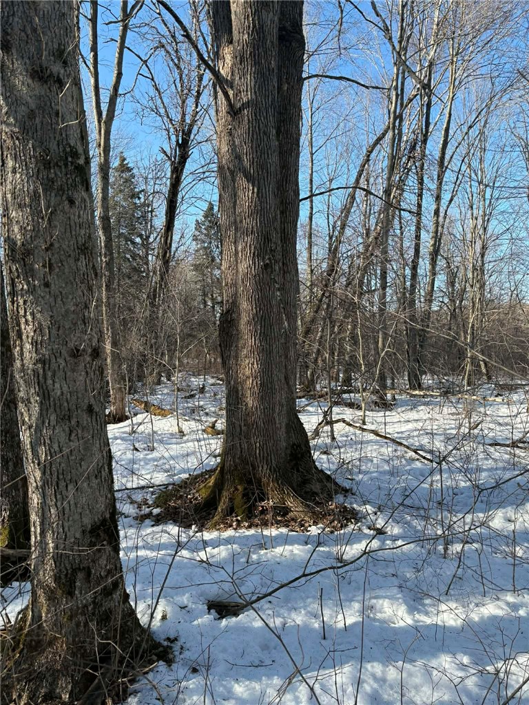 0 Winter Road Ladysmith, WI 54848 - Photo 2 of 13