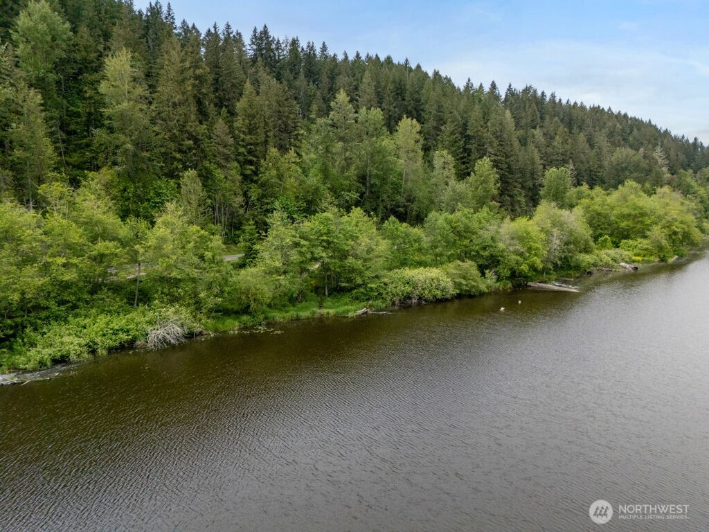 3-4 Orville Road East Eatonville, WA 98328 - Photo 1 of 32
