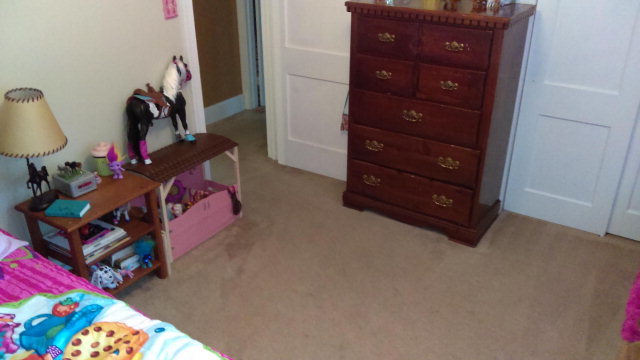2694 Cokey Road Rocky Mount, NC 27801 - Photo 19 of 22 Additional Photo