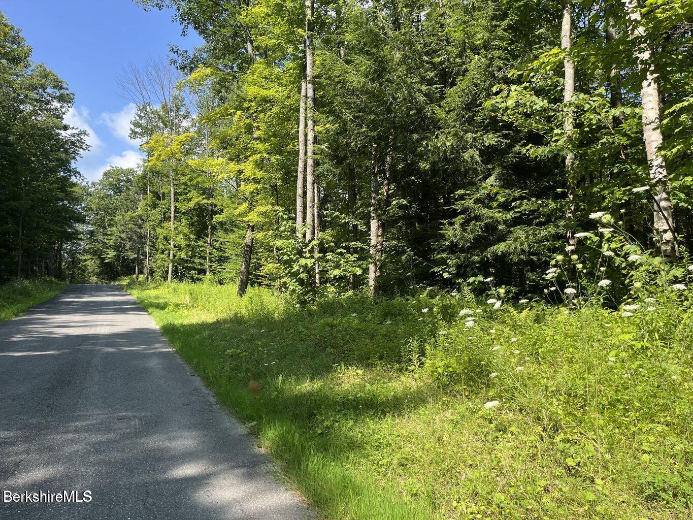1 Webster Road Tyringham, MA 01264 - Photo 1 of 7 a view of yard