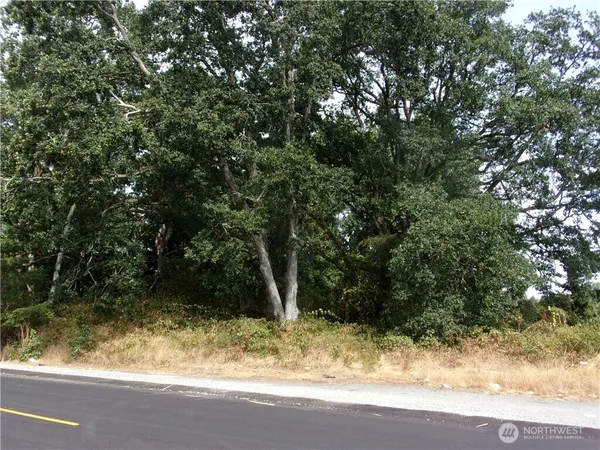 a view of a yard with large tree