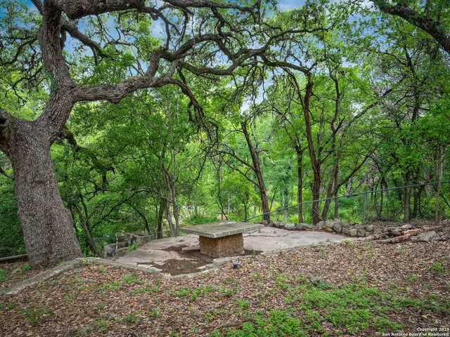a view of a yard with a tree