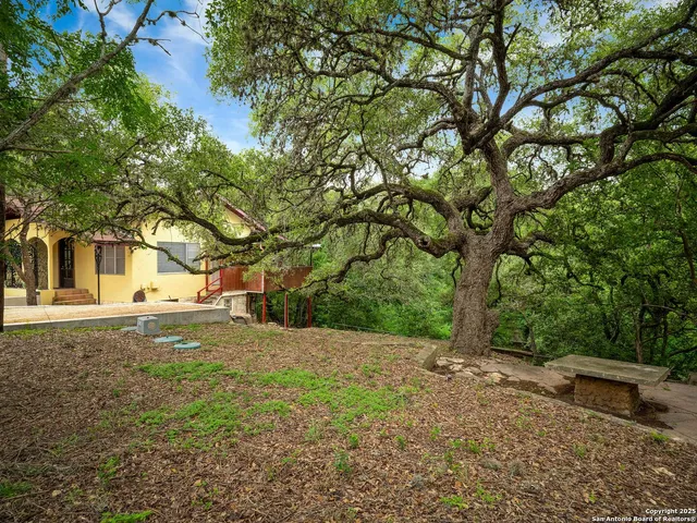 a backyard of a house with lots of green space