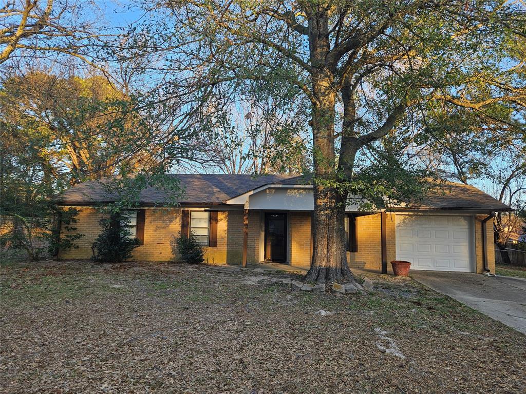 16455 Red Fern Road Flint, TX 75762 - Photo 2 of 25 a view of a house with large trees and wooden fence