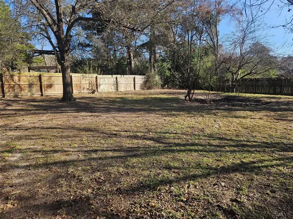 a view of a yard with trees