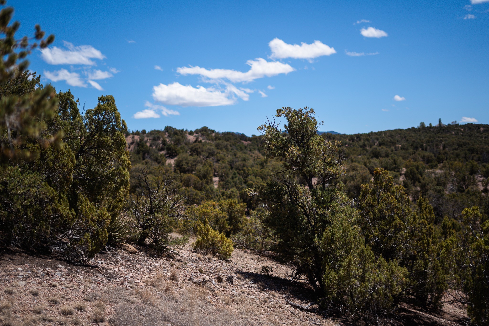 67-acres Red Ridge Santa Fe, NM 87501 - Photo 27 of 40 North Lot