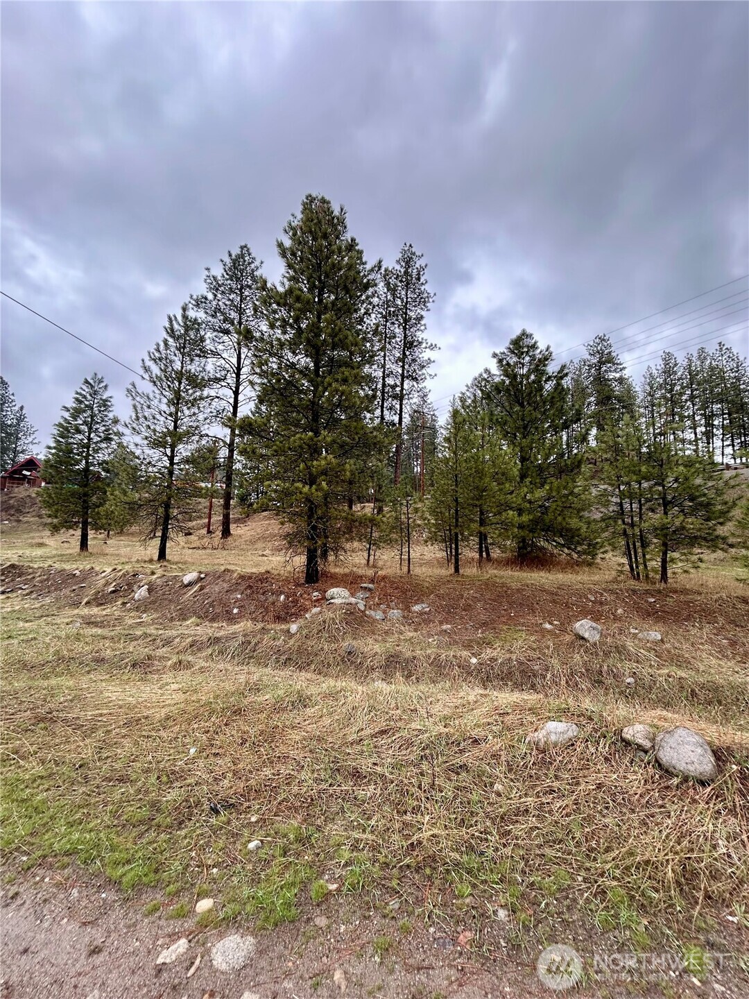 a view of outdoor space with trees