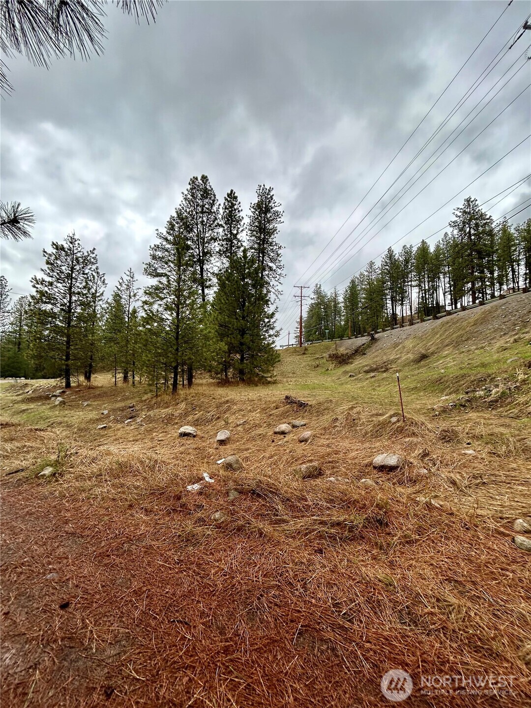 0 South Clark Avenue Republic, WA 99166 - Photo 2 of 4