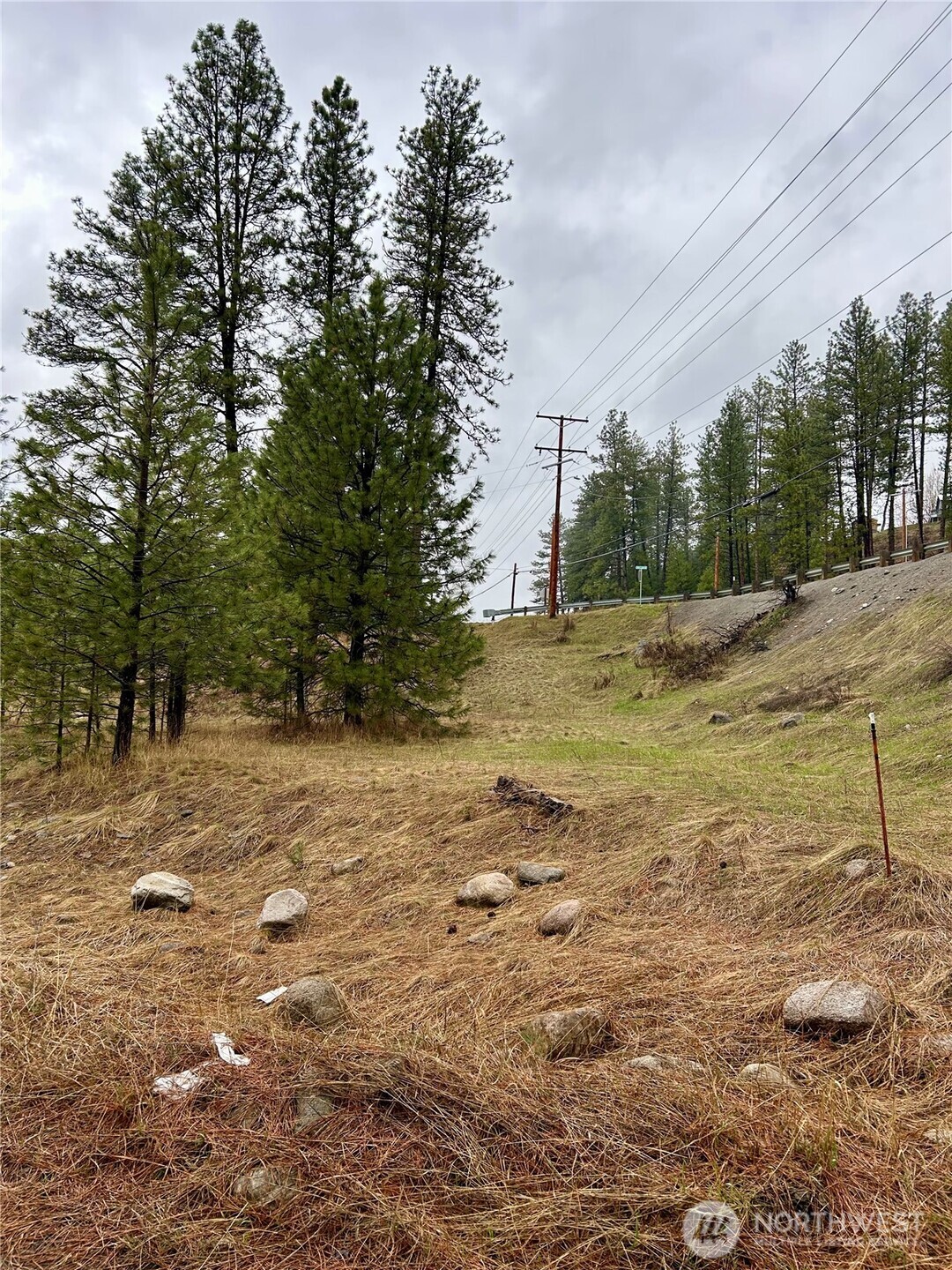 0 South Clark Avenue Republic, WA 99166 - Photo 4 of 4