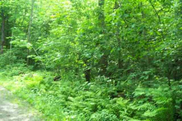 0 East Road Fort Plain, NY 13339 - Photo 2 of 4 Photo 2