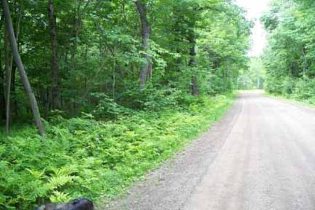0 East Road Fort Plain, NY 13339 - Photo 4 of 4 Photo 4