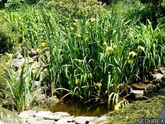 2945 Eaton Road Shaker Heights, OH 44122 - Photo 24 of 25 Pretty pond accent the rear yard with patio.