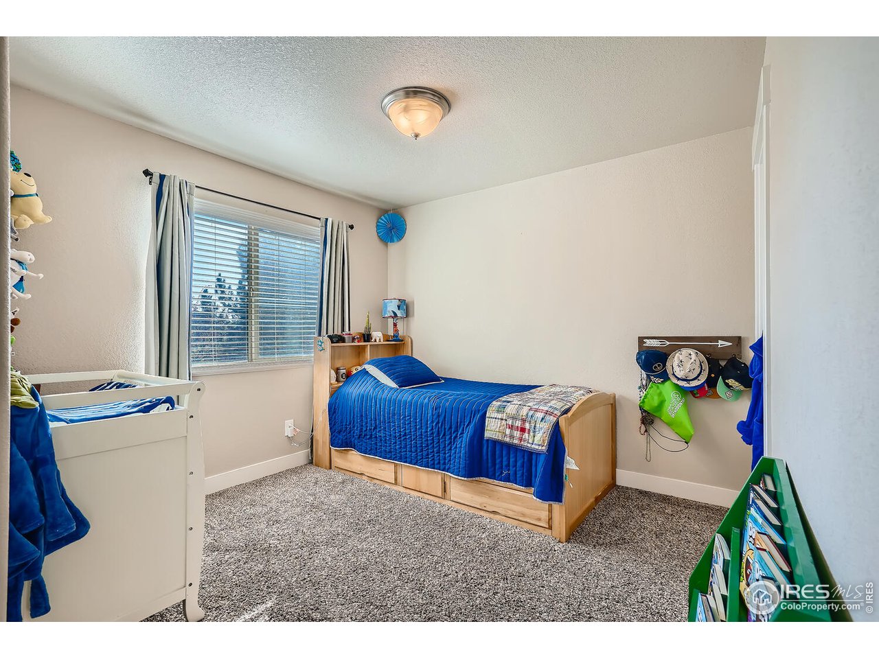 884 Cliffrose Way Severance, CO 80550 - Photo 10 of 30