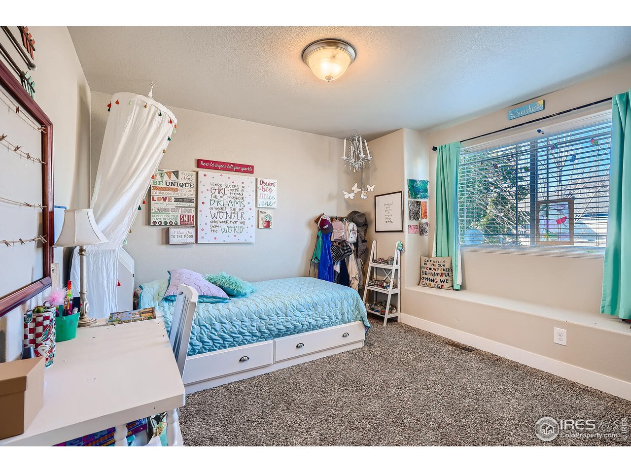 884 Cliffrose Way Severance, CO 80550 - Photo 8 of 30