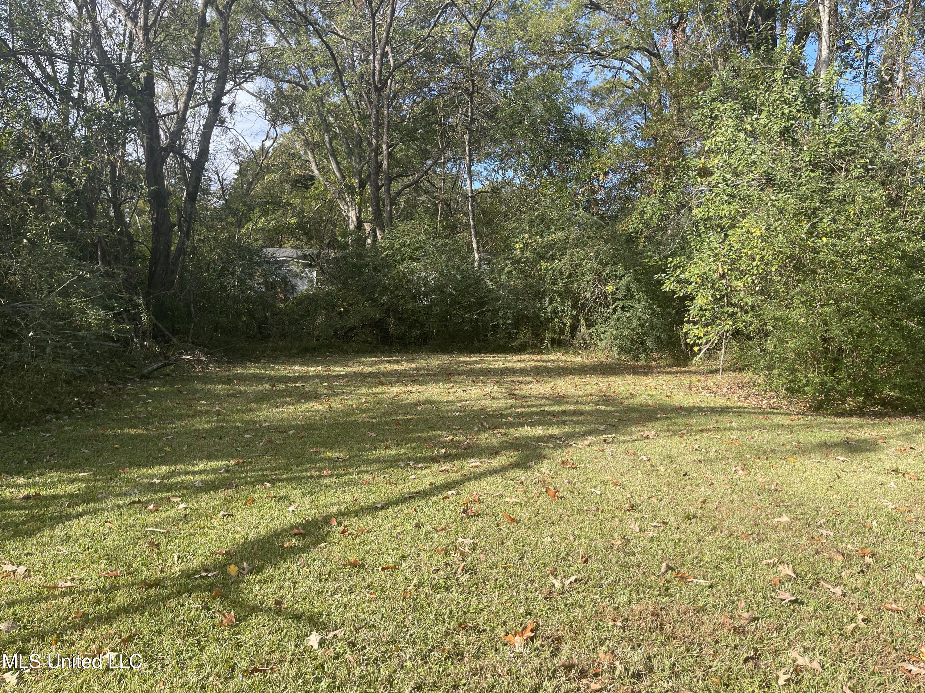 3853 Warner Avenue Jackson, MS 39213 - Photo 12 of 14 IMG_1453