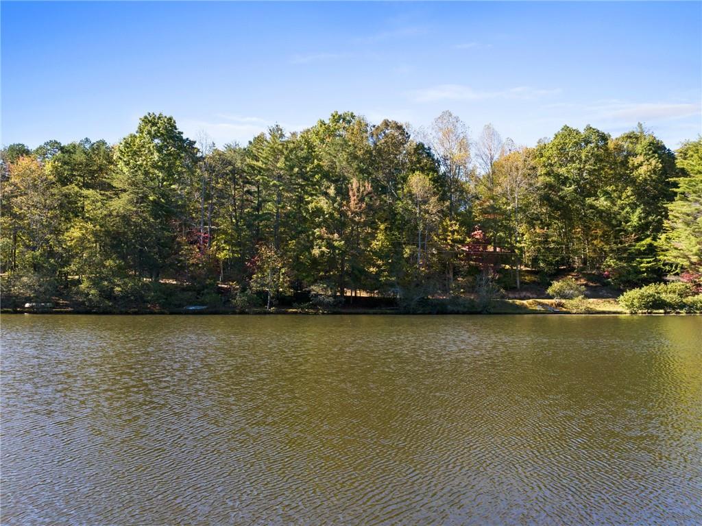 454 High Country Lane Morganton, GA 30560 - Photo 12 of 80