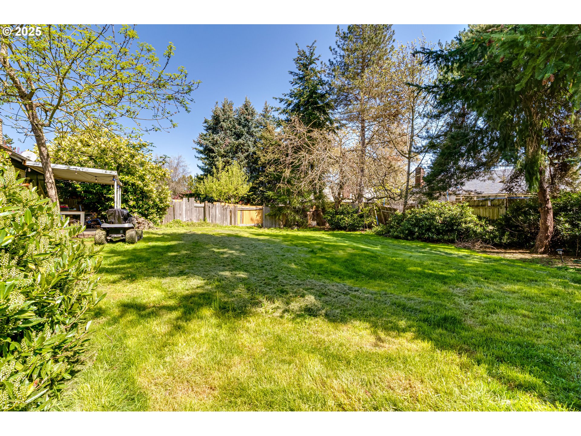 3911 Pam Street Eugene, OR 97402 - Photo 24 of 25 a view of yard with green space