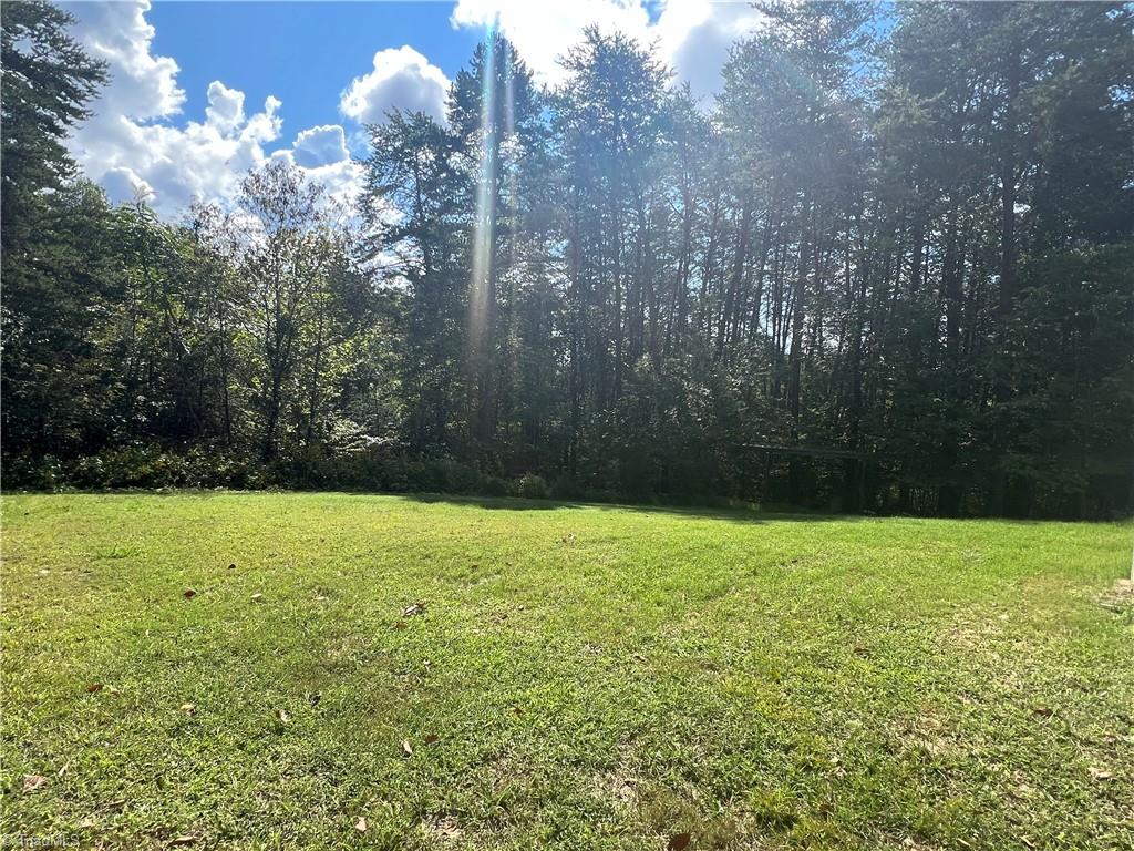 1015 Clubb Farm Road Danbury, NC 27016 - Photo 15 of 16