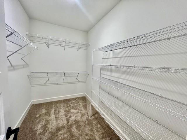 1497 Laredo Avenue Spring Hill, FL 34608 - Photo 29 of 49
